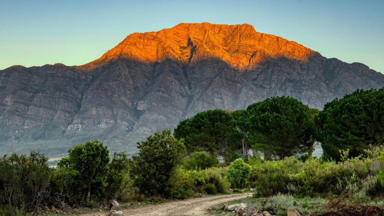 Welbedacht Game & Nature Reserve تولباغ المظهر الخارجي الصورة