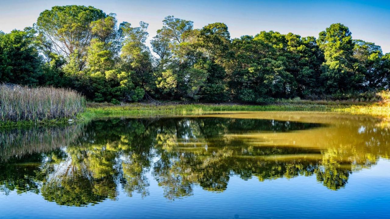 Welbedacht Game & Nature Reserve تولباغ المظهر الخارجي الصورة